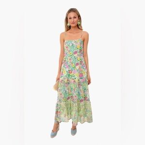 Banjanan Hazel Sleeveless Tiered Maxi Dress in Dawn Chorus Pistachio Green, XS